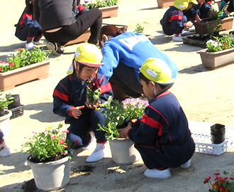 花苗植え②